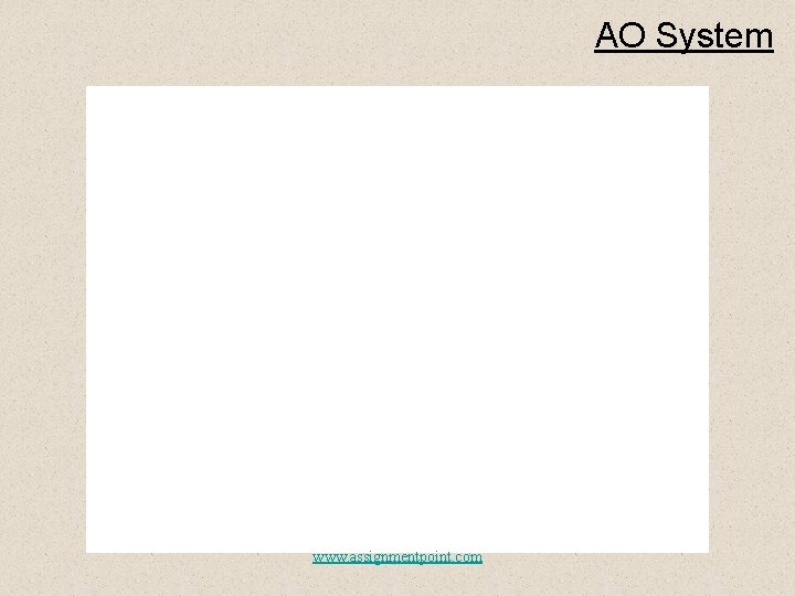 AO System www. assignmentpoint. com 