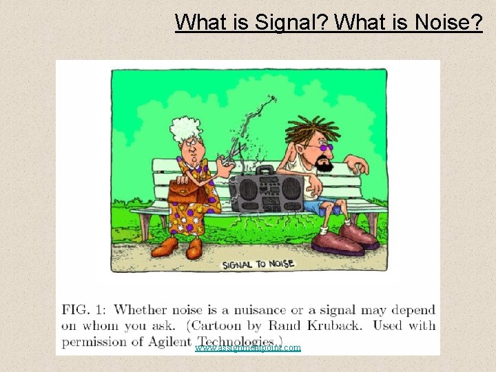 What is Signal? What is Noise? www. assignmentpoint. com 