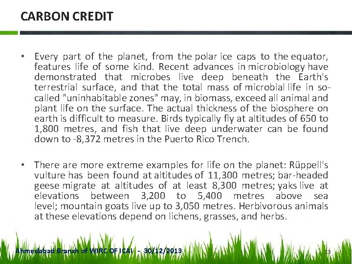 CARBON CREDIT • Every part of the planet, from the polar ice caps to