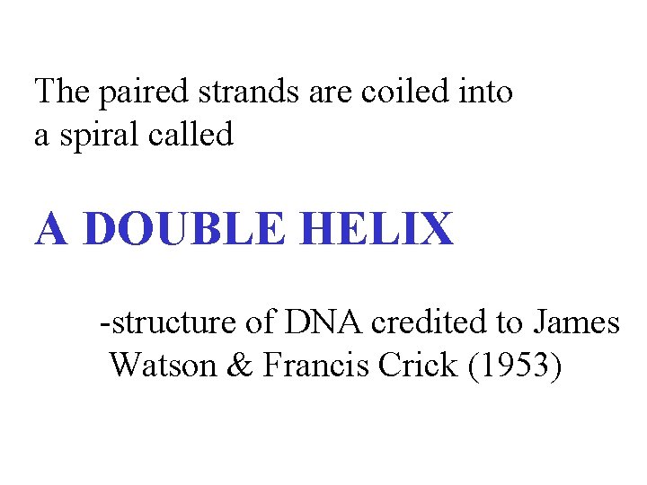 The paired strands are coiled into a spiral called A DOUBLE HELIX -structure of