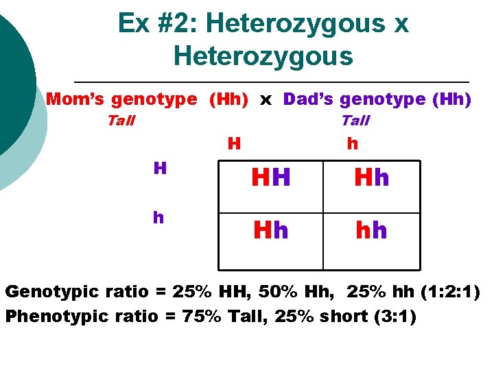 Ex #2: Heterozygous x Heterozygous Mom’s genotype (Hh) x Dad’s genotype (Hh) Tall H