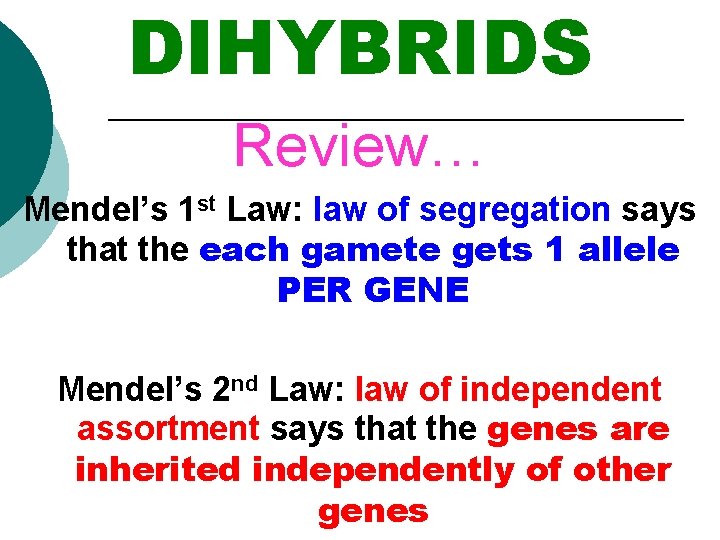 DIHYBRIDS Review… Mendel’s 1 st Law: law of segregation says that the each gamete