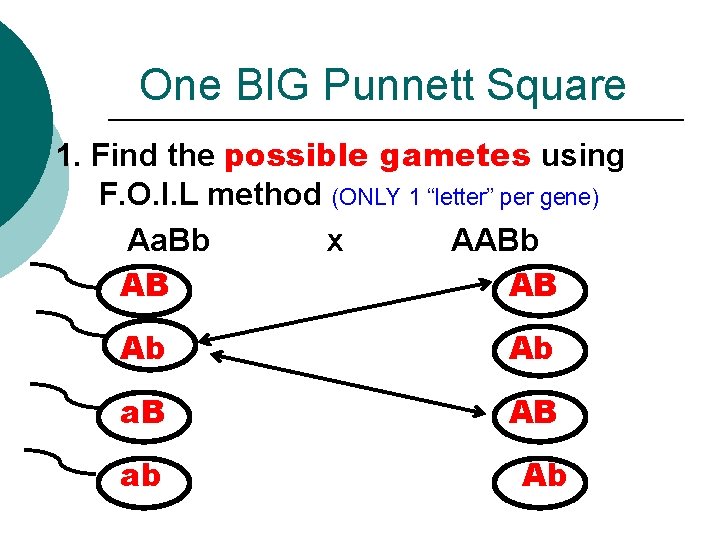 One BIG Punnett Square 1. Find the possible gametes using F. O. I. L