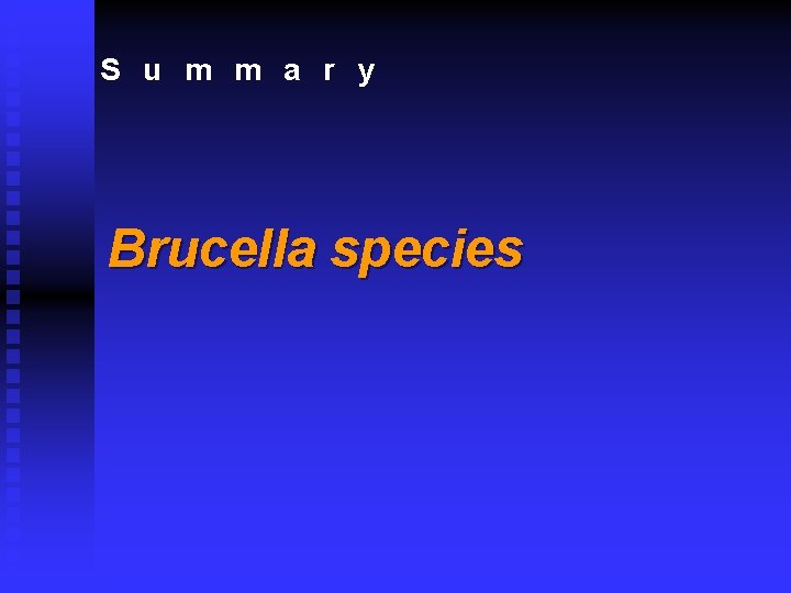 S u m m a r y Brucella species 