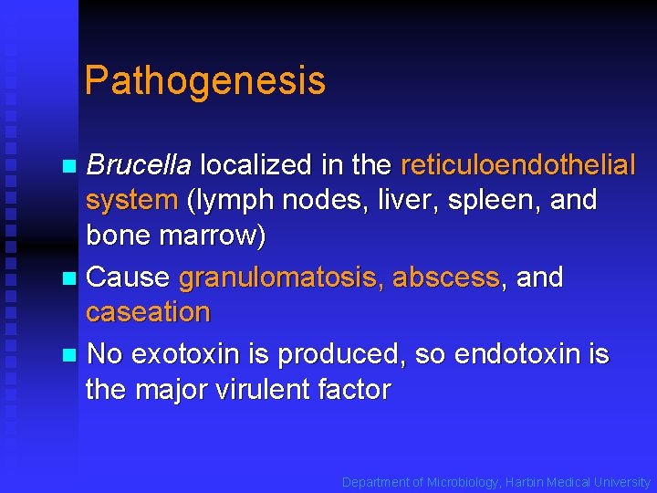 Pathogenesis Brucella localized in the reticuloendothelial system (lymph nodes, liver, spleen, and bone marrow)