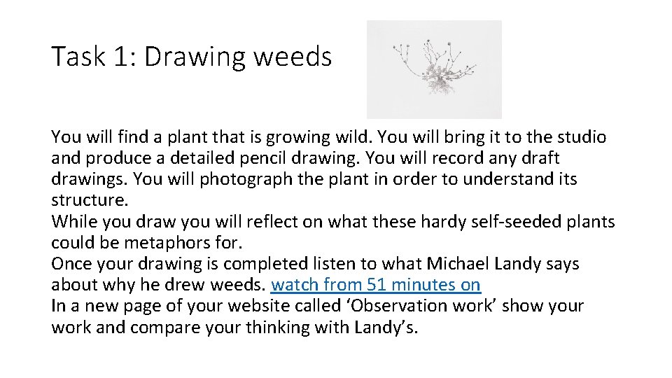 Task 1: Drawing weeds You will find a plant that is growing wild. You