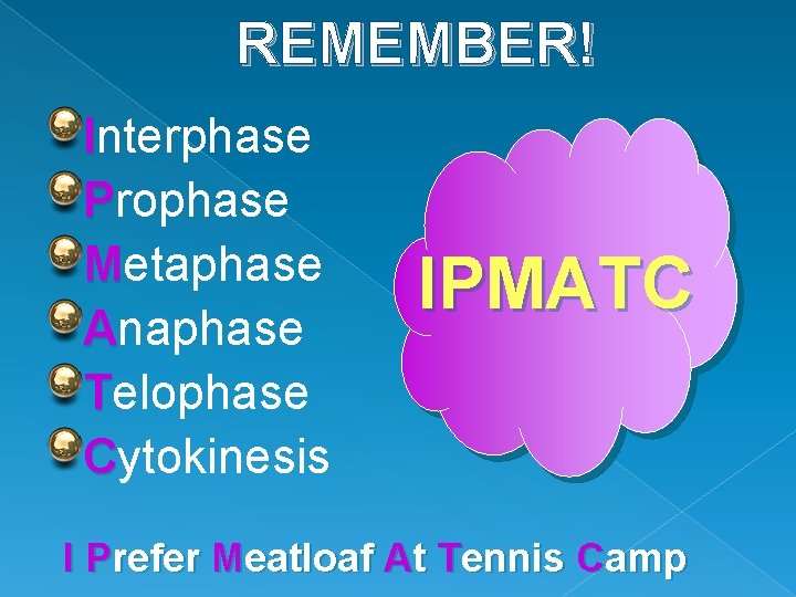 REMEMBER! Interphase Prophase Metaphase Anaphase Telophase Cytokinesis IPMATC I Prefer Meatloaf At Tennis Camp