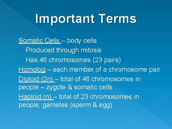 Important Terms Somatic Cells – body cells › Produced through mitosis › Has 46