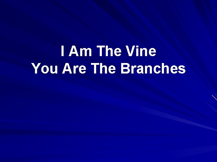 I Am The Vine You Are The Branches 