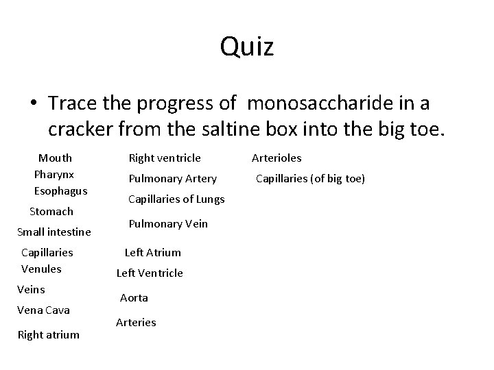 Quiz • Trace the progress of monosaccharide in a cracker from the saltine box