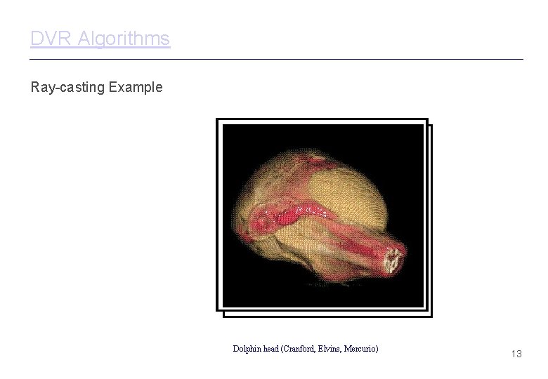 DVR Algorithms Ray-casting Example Dolphin head (Cranford, Elvins, Mercurio) 13 DVR Algorithms Ray-casting Example Dolphin head (Cranford, Elvins, Mercurio) 13
