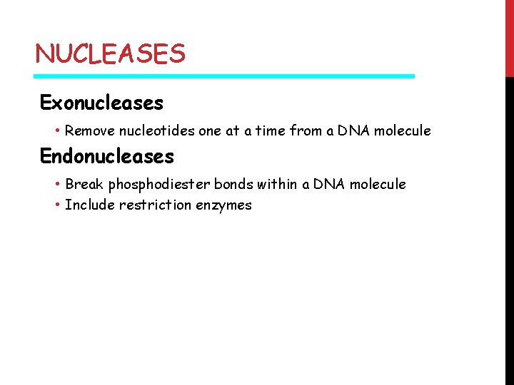 NUCLEASES Exonucleases • Remove nucleotides one at a time from a DNA molecule Endonucleases