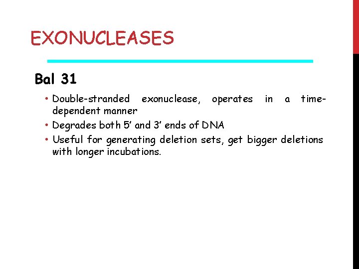 EXONUCLEASES Bal 31 • Double-stranded exonuclease, operates in a timedependent manner • Degrades both