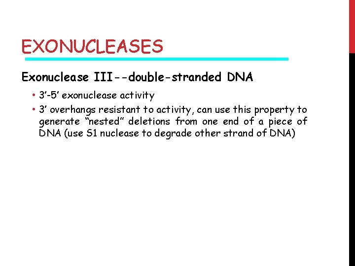 EXONUCLEASES Exonuclease III--double-stranded DNA • 3’-5’ exonuclease activity • 3’ overhangs resistant to activity,