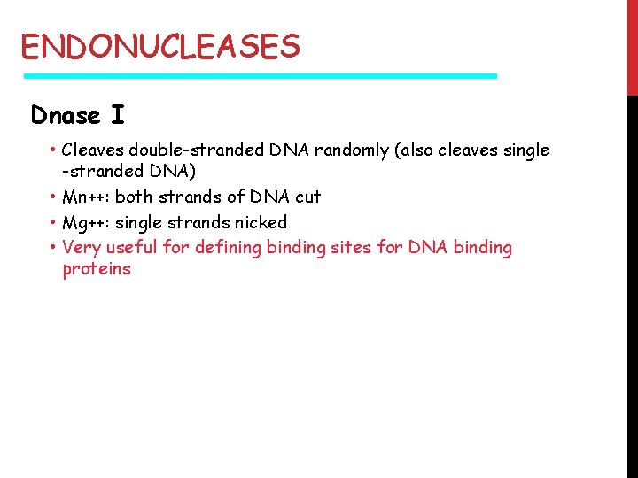 ENDONUCLEASES Dnase I • Cleaves double-stranded DNA randomly (also cleaves single -stranded DNA) •