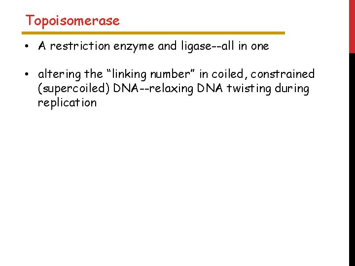 Topoisomerase • A restriction enzyme and ligase--all in one • altering the “linking number”
