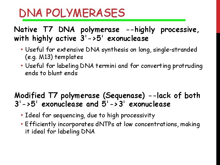 DNA POLYMERASES Native T 7 DNA polymerase --highly processive, with highly active 3'->5' exonuclease