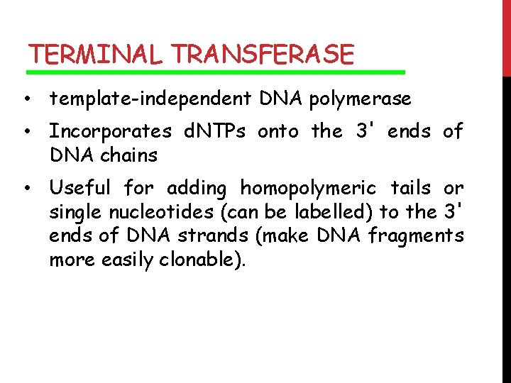TERMINAL TRANSFERASE • template-independent DNA polymerase • Incorporates d. NTPs onto the 3' ends