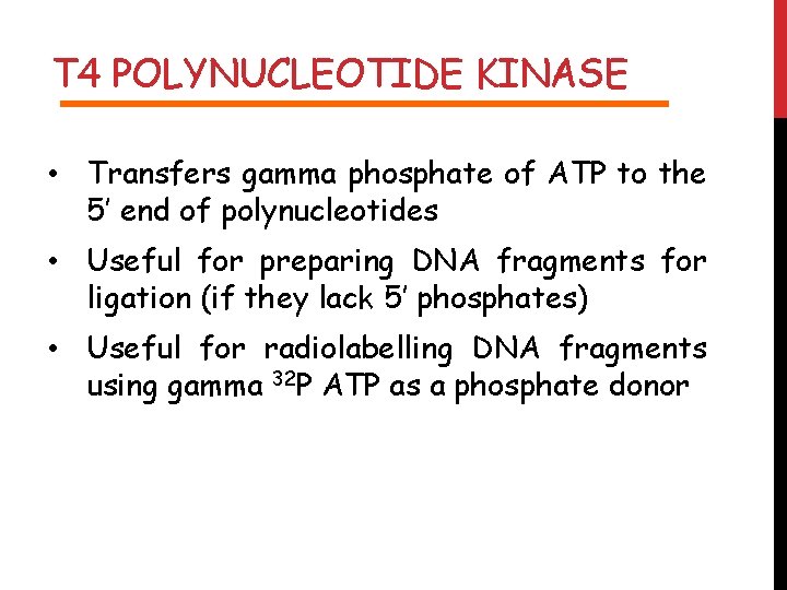 T 4 POLYNUCLEOTIDE KINASE • Transfers gamma phosphate of ATP to the 5’ end