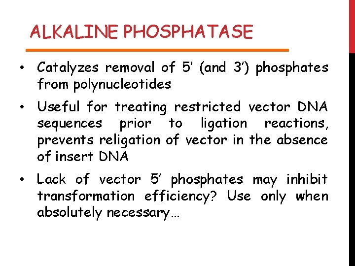 ALKALINE PHOSPHATASE • Catalyzes removal of 5’ (and 3’) phosphates from polynucleotides • Useful