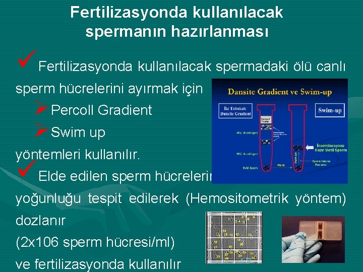 Fertilizasyonda kullanılacak spermanın hazırlanması üFertilizasyonda kullanılacak spermadaki ölü canlı sperm hücrelerini ayırmak için ØPercoll