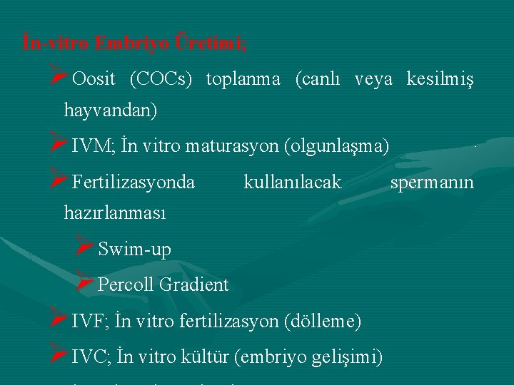 İn-vitro Embriyo Üretimi; ØOosit (COCs) toplanma (canlı veya kesilmiş hayvandan) ØIVM; İn vitro maturasyon