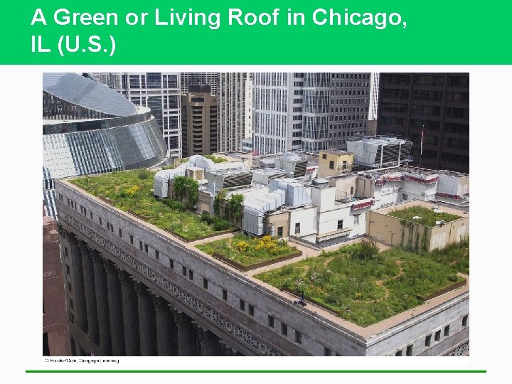A Green or Living Roof in Chicago, IL (U. S. ) 