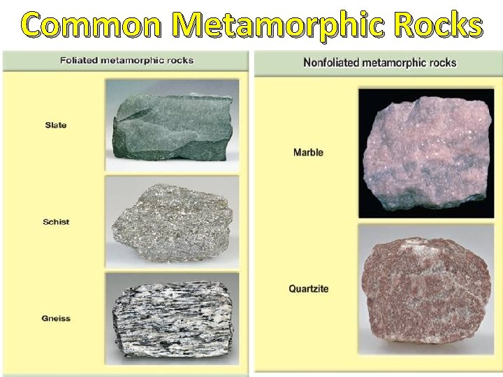Common Metamorphic Rocks Common Metamorphic Rocks
