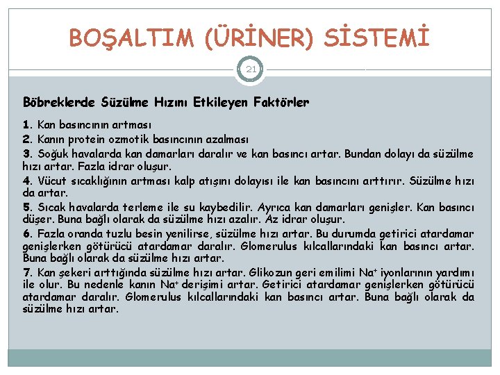 BOŞALTIM (ÜRİNER) SİSTEMİ 21 Böbreklerde Süzülme Hızını Etkileyen Faktörler 1. Kan basıncının artması 2.