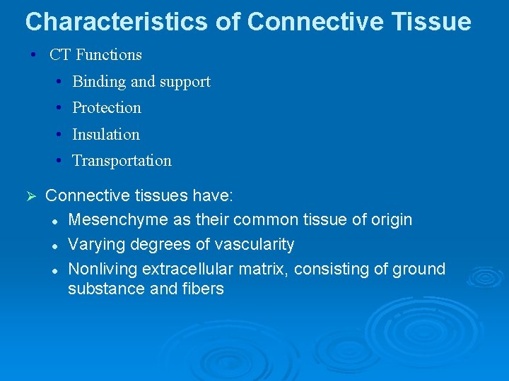 Characteristics of Connective Tissue • CT Functions • Binding and support • Protection •