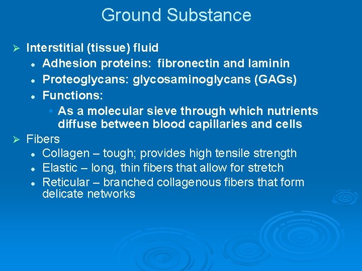 Ground Substance Interstitial (tissue) fluid l Adhesion proteins: fibronectin and laminin l Proteoglycans: glycosaminoglycans