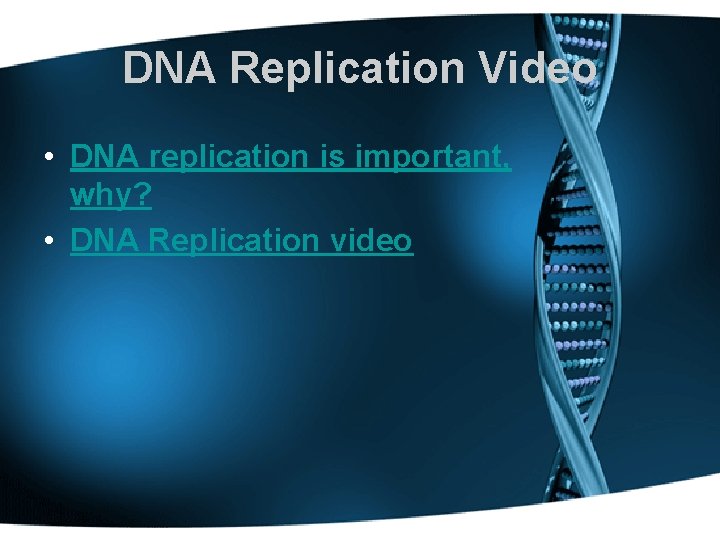 DNA Replication Video • DNA replication is important, why? • DNA Replication video 