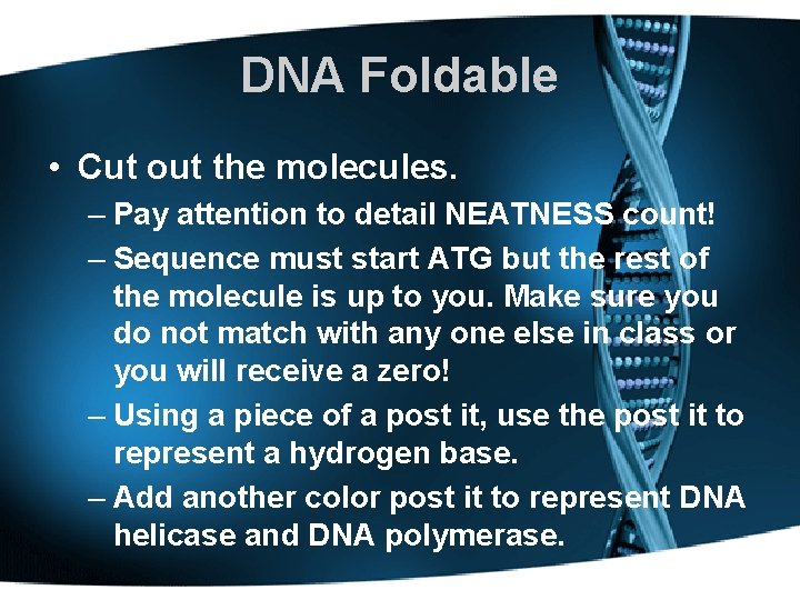 DNA Foldable • Cut out the molecules. – Pay attention to detail NEATNESS count!