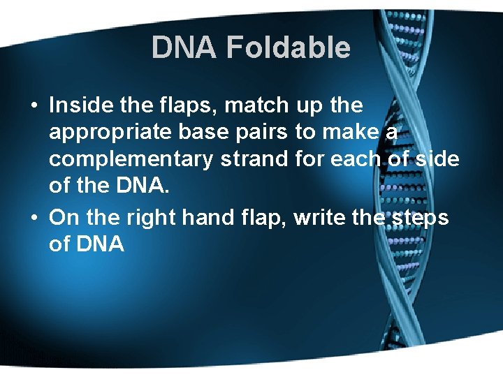 DNA Foldable • Inside the flaps, match up the appropriate base pairs to make