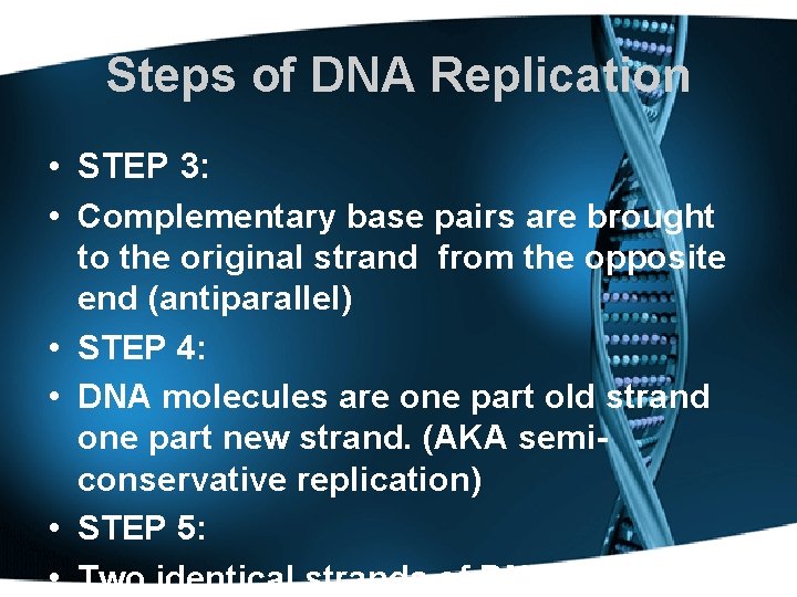 Steps of DNA Replication • STEP 3: • Complementary base pairs are brought to