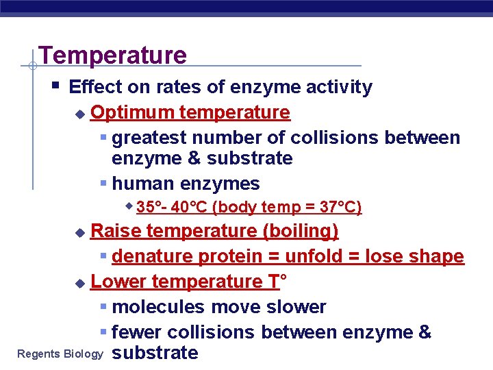 Temperature § Effect on rates of enzyme activity Optimum temperature § greatest number of