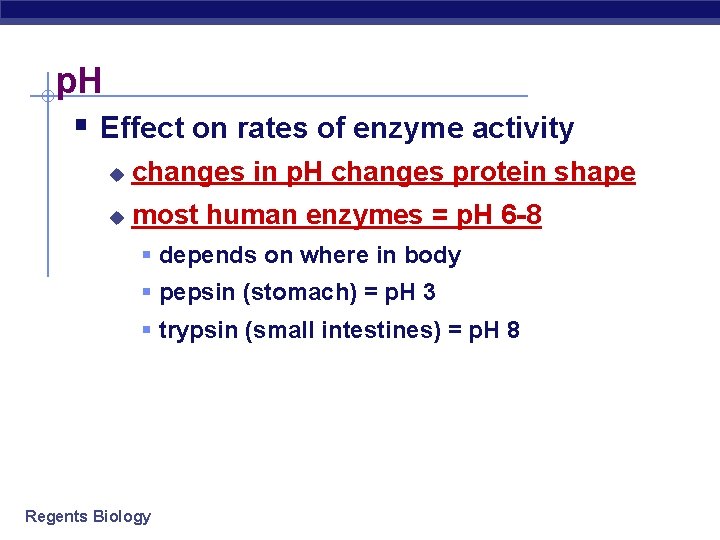 p. H § Effect on rates of enzyme activity u changes in p. H