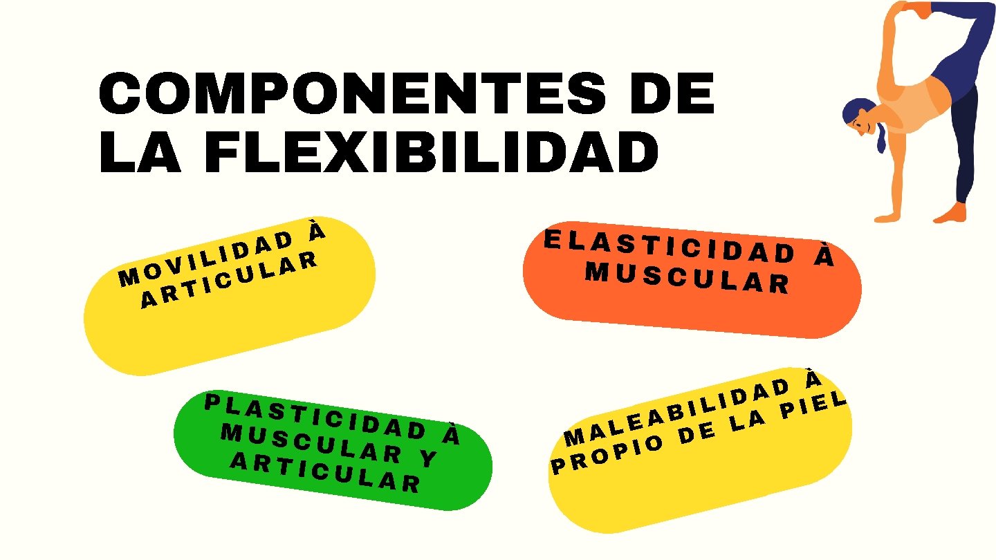 COMPONENTES DE LA FLEXIBILIDAD À D A D I L R I A V