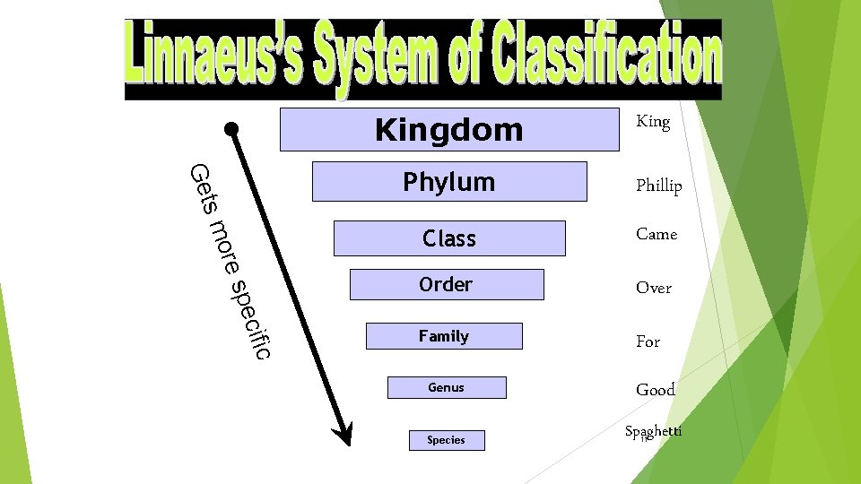 ore sm Get cific spe Kingdom King Phylum Phillip Class Came Order Over Family