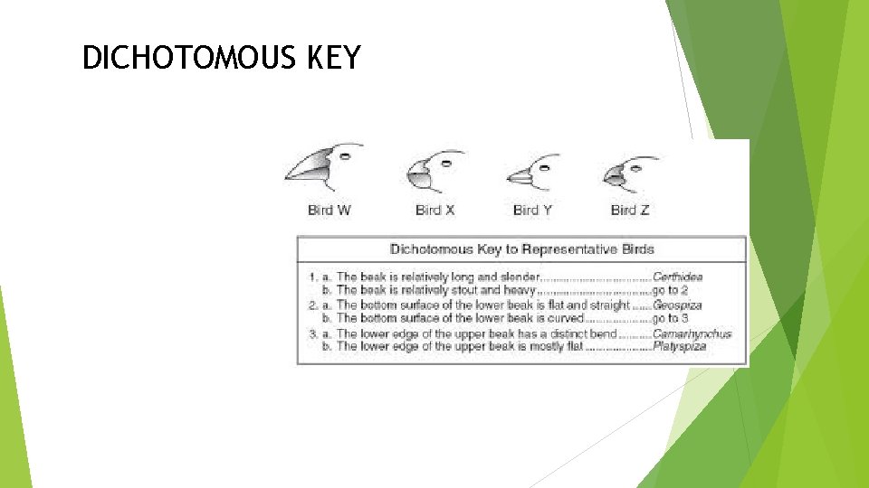 DICHOTOMOUS KEY 