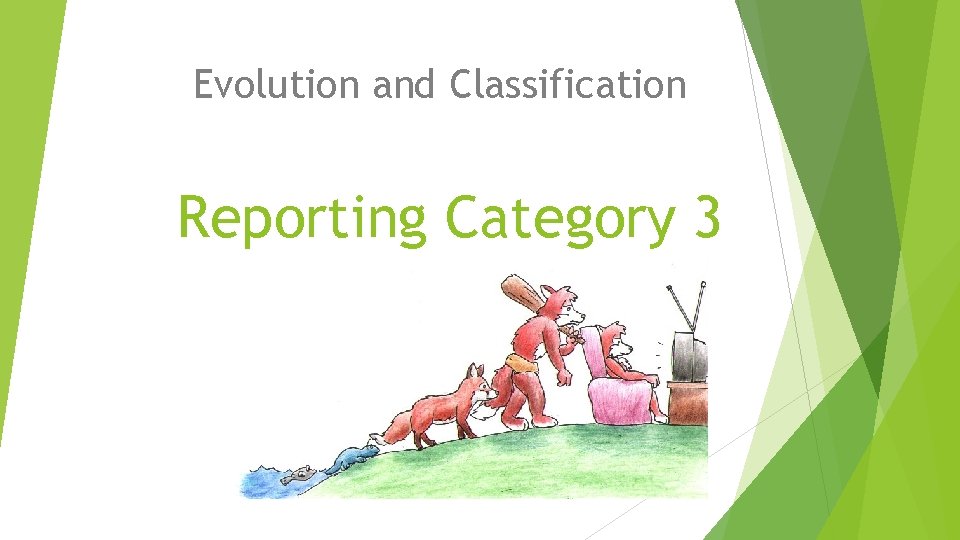 Evolution and Classification Reporting Category 3 