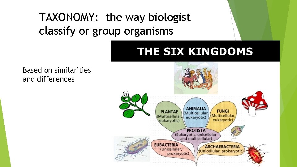 TAXONOMY: the way biologist classify or group organisms Based on similarities and differences 