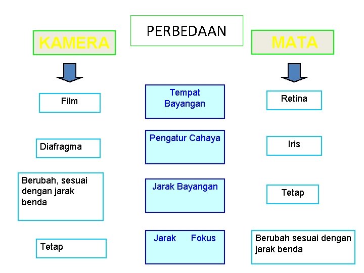 KAMERA Film Diafragma Berubah, sesuai dengan jarak benda Tetap PERBEDAAN Tempat Bayangan Pengatur Cahaya