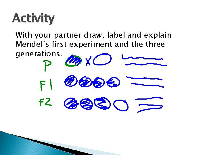 Activity With your partner draw, label and explain Mendel’s first experiment and the three