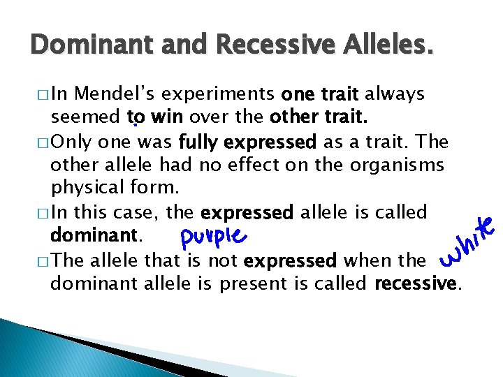 Dominant and Recessive Alleles. � In Mendel’s experiments one trait always seemed to win