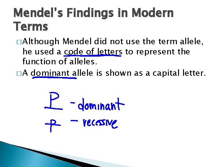 Mendel’s Findings in Modern Terms � Although Mendel did not use the term allele,