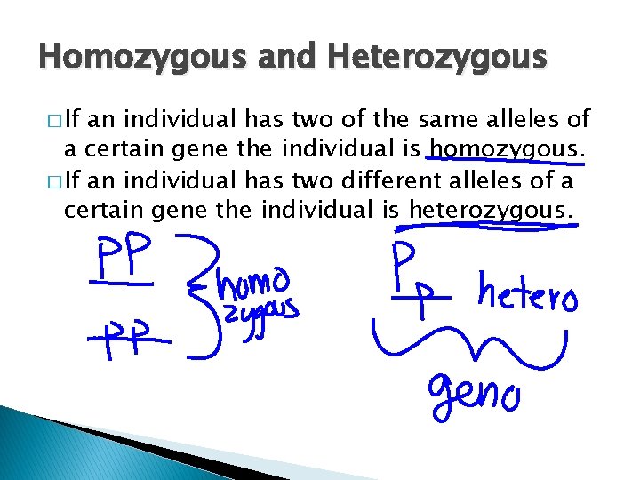 Homozygous and Heterozygous � If an individual has two of the same alleles of