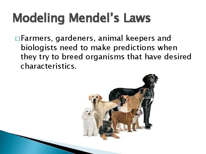 Modeling Mendel’s Laws � Farmers, gardeners, animal keepers and biologists need to make predictions