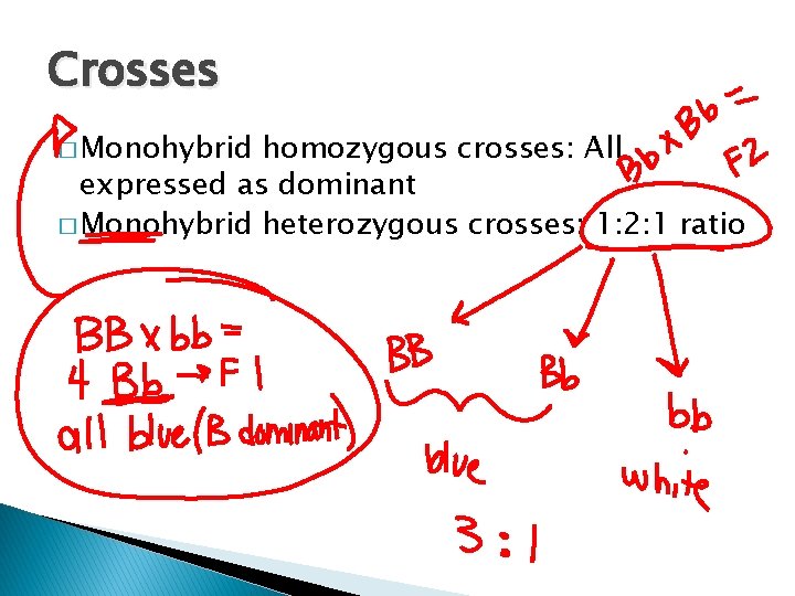 Crosses � Monohybrid homozygous crosses: All expressed as dominant � Monohybrid heterozygous crosses: 1: