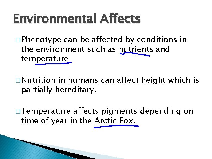 Environmental Affects � Phenotype can be affected by conditions in the environment such as
